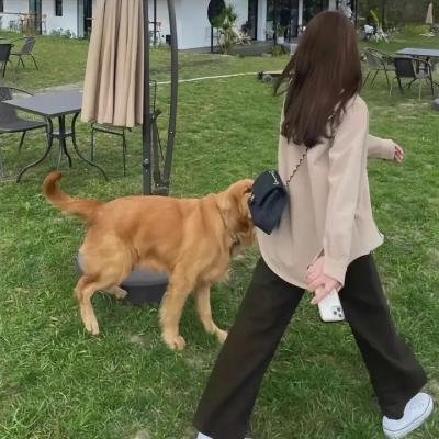 掮客